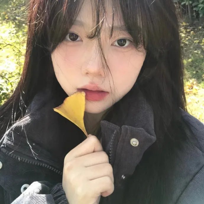 惹不起的宫主大人